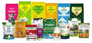 Top Types of Cattle Feed and Their Benefits for Dairy FarmersDairy FarmersTop Types of Cattle Feed and Their Benefits for Dairy Farmers Top Types of Cattle Feed and Their Benefits for Dairy FarmersDairy FarmersTop Types of Cattle Feed and Their Benefits for Dairy Farmers